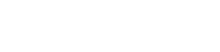 Logo Sailpoint