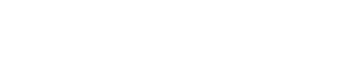 Logo bigid