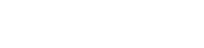 Logo Hornet Infoblox